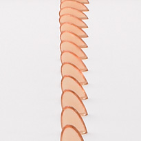 Spine IV detail